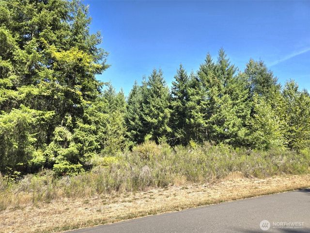 19710 146th Avenue SE, Yelm, WA 98597