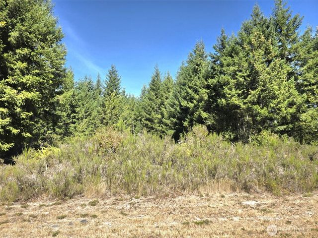19710 146th Avenue SE, Yelm, WA 98597