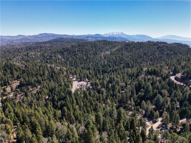 683 Maxson Drive, Twin Peaks, CA 92391