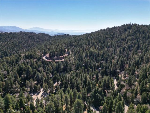 683 Maxson Drive, Twin Peaks, CA 92391