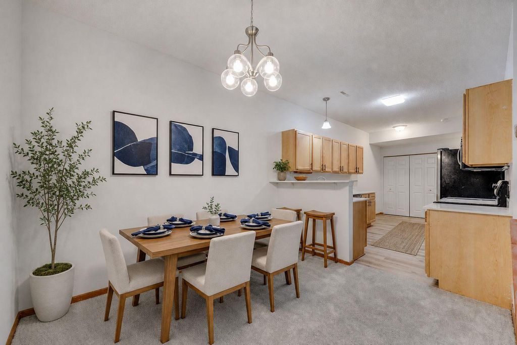 966 Princeton Avenue, Shakopee, MN 55379 — photo 4