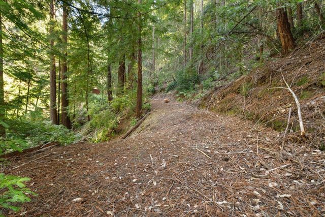 2950 Bear Canyon Road, Los Gatos, CA 95033