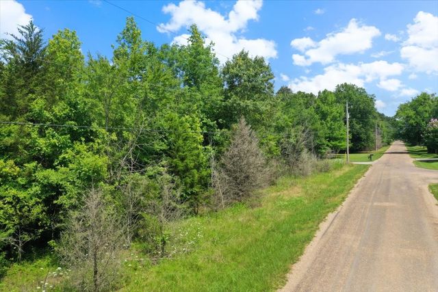 TBD CR 4425, Mt Pleasant, TX 75455