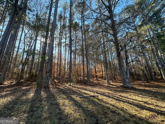 0 Hard Rock Road, Oxford, GA 30054