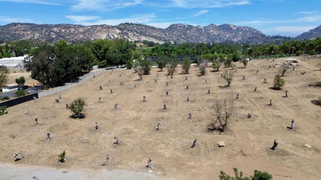 Canyon Heights, Fallbrook, CA 92028