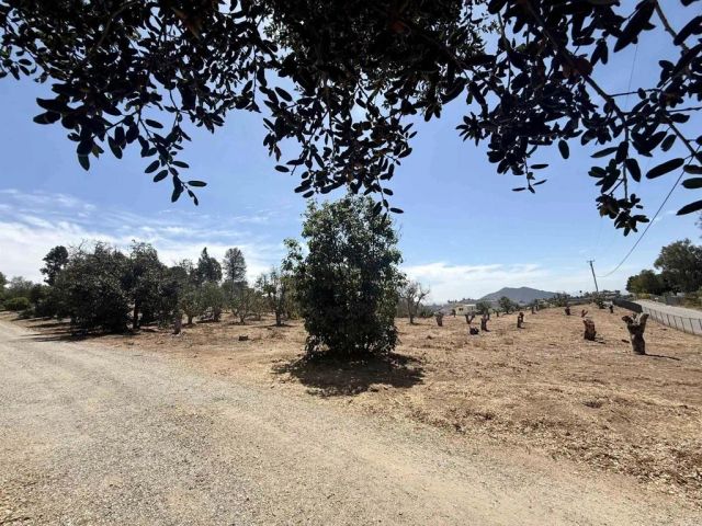 Canyon Heights, Fallbrook, CA 92028