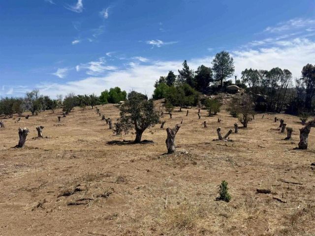 Canyon Heights, Fallbrook, CA 92028
