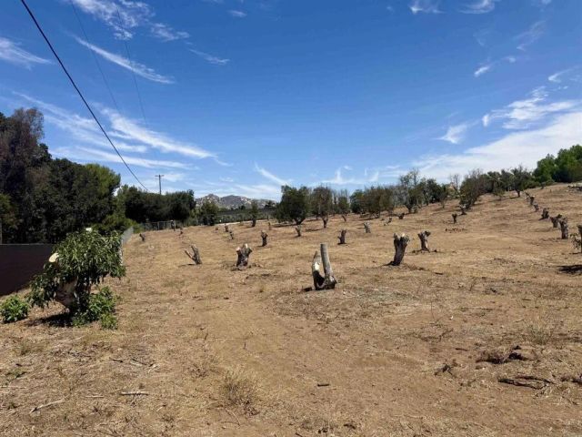 Canyon Heights, Fallbrook, CA 92028