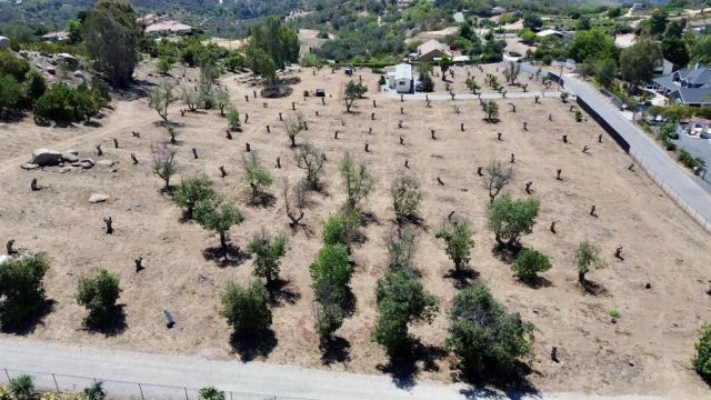 Canyon Heights, Fallbrook, CA 92028