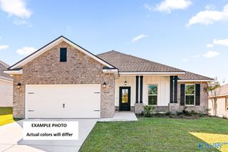 28455 Molly Bee Lane, Toney, AL 35773