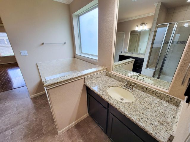 2814 Bay Springs View Court, Richmond, TX 77406