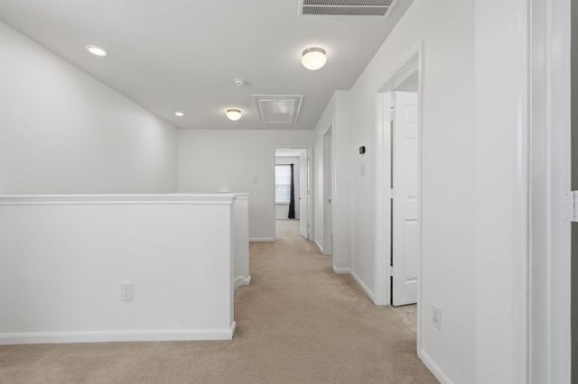 19213 Gunther Springs Court, Houston, TX 77073