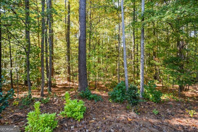 1200 Double Branches Lane, Dallas, GA 30132