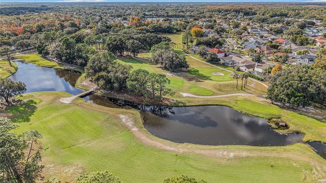 11325 GLENMONT DRIVE, Tampa, FL 33635