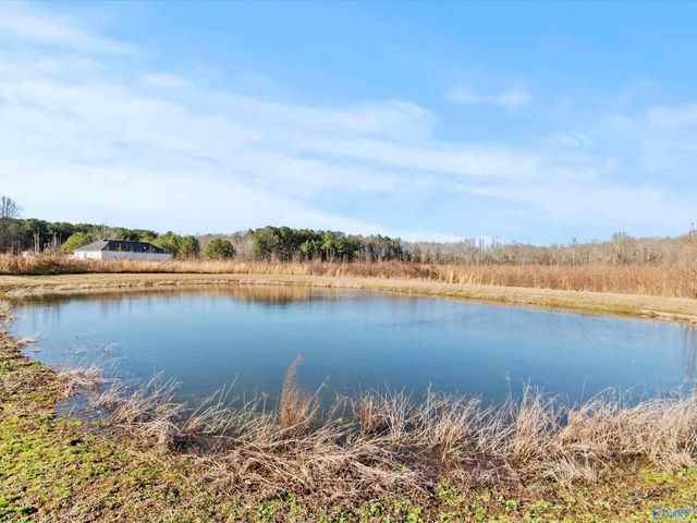 1511 Ready Section Road, Hazel Green, AL 35750