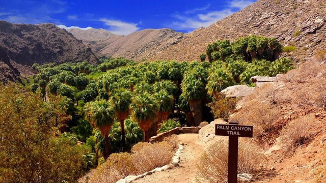 2356 N Blando Road, Palm Springs, CA 92262