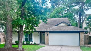 15 Tremont Woods Court, The Woodlands, TX 77381