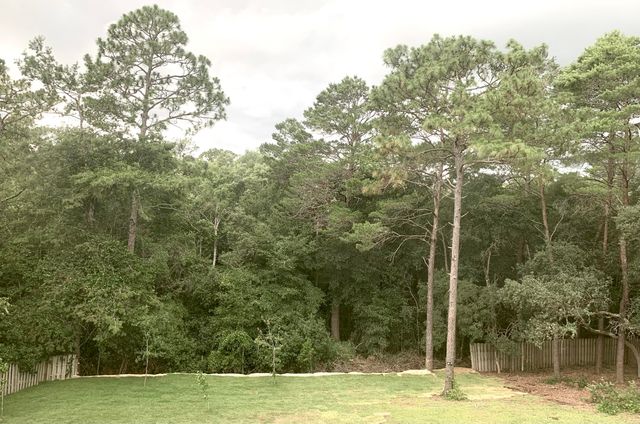 449 Ruckel Drive, Niceville, FL 32578