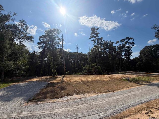 6963 Chandler Bluff Rd, Denham Springs, LA 70706