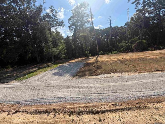 6963 Chandler Bluff Rd, Denham Springs, LA 70706