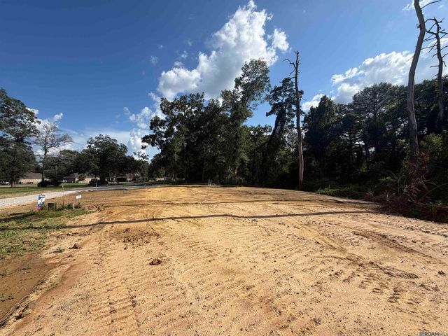6963 Chandler Bluff Rd, Denham Springs, LA 70706