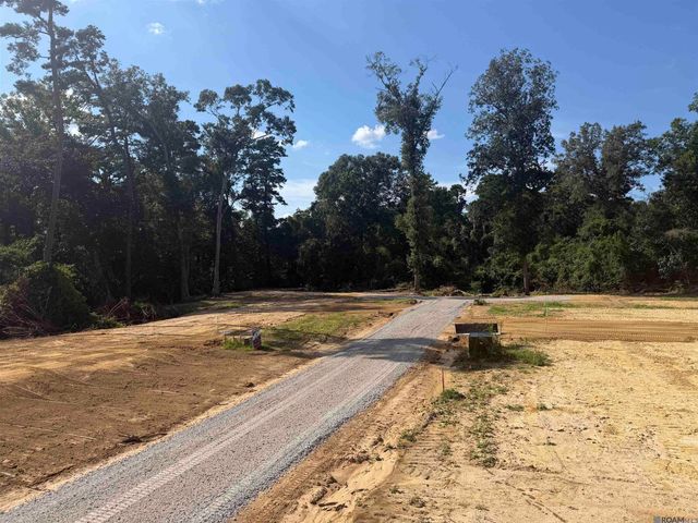 6963 Chandler Bluff Rd, Denham Springs, LA 70706