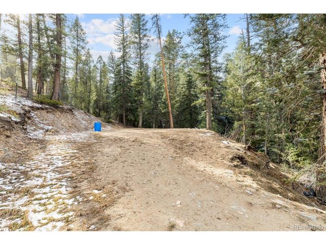 33755 Columbine Cir, Evergreen, CO 80439