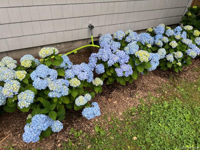 85 Young Avenue, Croton-on-hudson, NY 10520