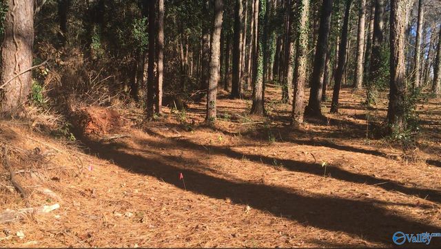2.4 ACRES Linde Street NW, Huntsville, AL 35810