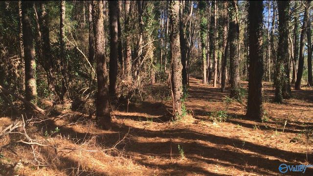 2.4 ACRES Linde Street NW, Huntsville, AL 35810