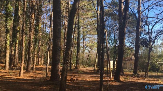 2.4 ACRES Linde Street NW, Huntsville, AL 35810