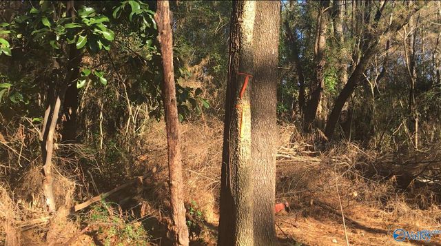 2.4 ACRES Linde Street NW, Huntsville, AL 35810