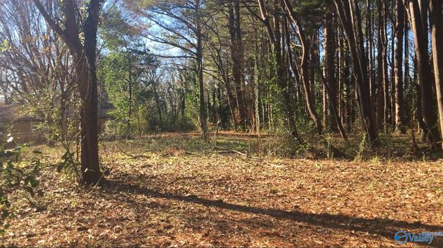 2.4 ACRES Linde Street NW, Huntsville, AL 35810