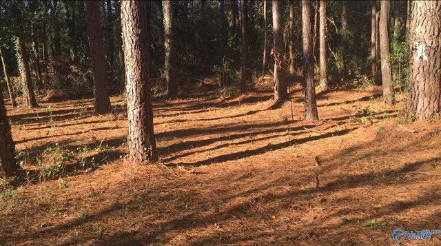 2.4 ACRES Linde Street NW, Huntsville, AL 35810