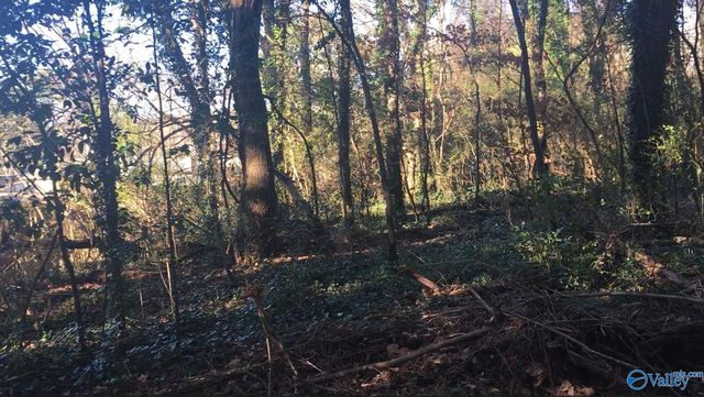 2.4 ACRES Linde Street NW, Huntsville, AL 35810