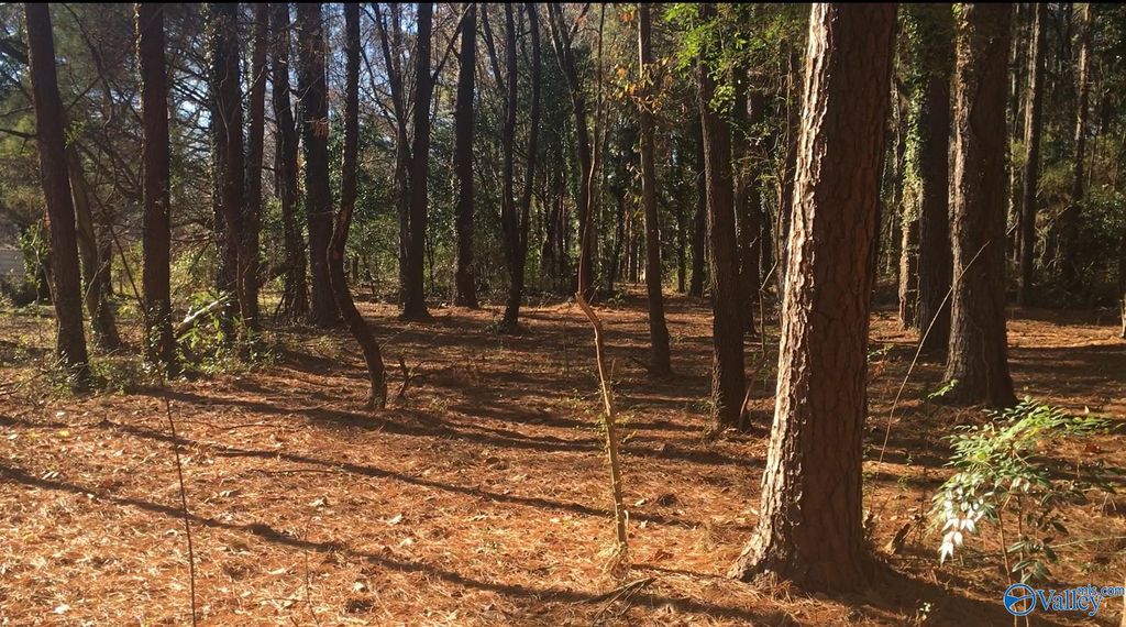 2.4 ACRES Linde Street NW, Huntsville, AL 35810