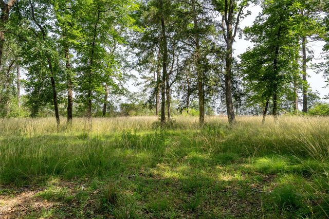 6866 Pennsylvania Avenue, Montgomery, TX 77316