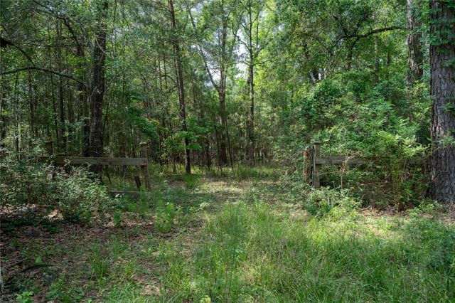 6866 Pennsylvania Avenue, Montgomery, TX 77316