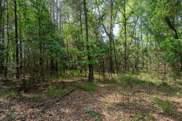 6866 Pennsylvania Avenue, Montgomery, TX 77316