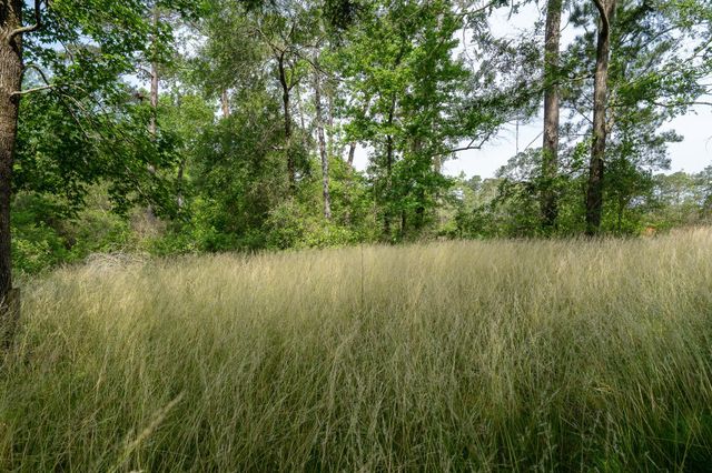 6866 Pennsylvania Avenue, Montgomery, TX 77316