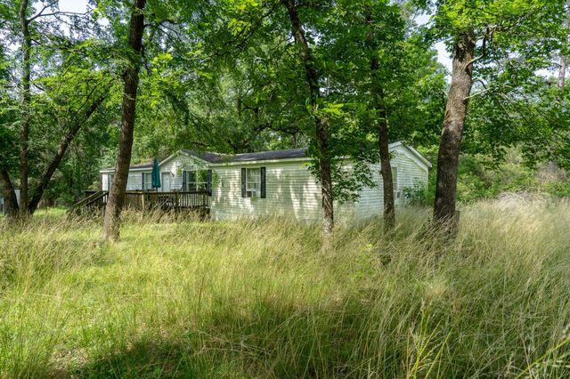 6866 Pennsylvania Avenue, Montgomery, TX 77316