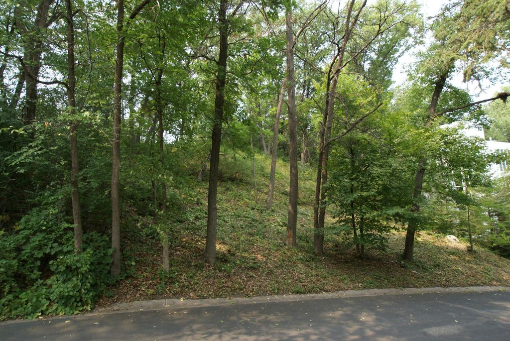 1408 Alpine Pass, Golden Valley, MN 55416 — photo 3