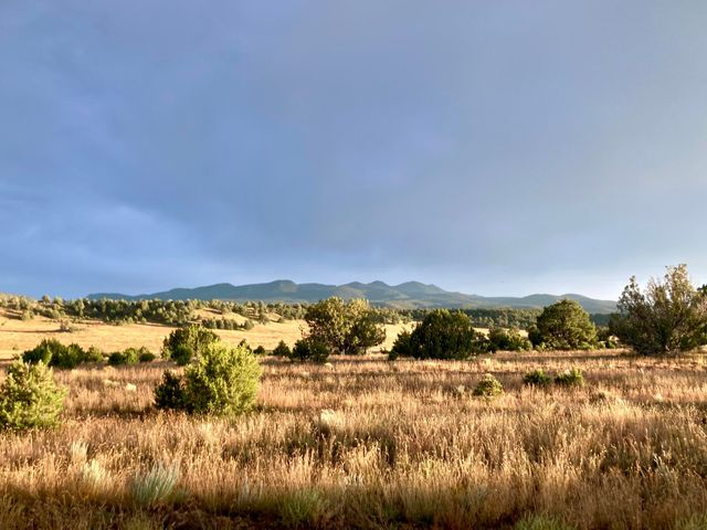 278 Thomas IV Road, Datil, NM 87821