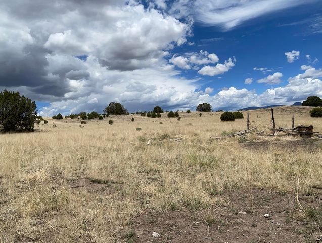 278 Thomas IV Road, Datil, NM 87821