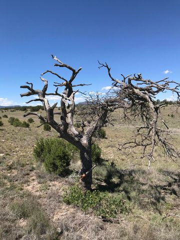 278 Thomas IV Road, Datil, NM 87821