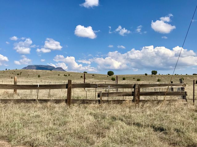 278 Thomas IV Road, Datil, NM 87821