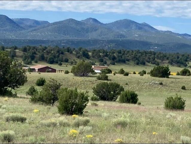 278 Thomas IV Road, Datil, NM 87821