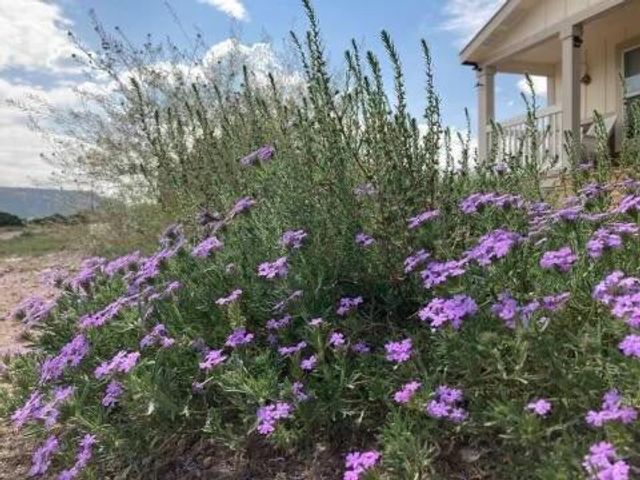 278 Thomas IV Road, Datil, NM 87821