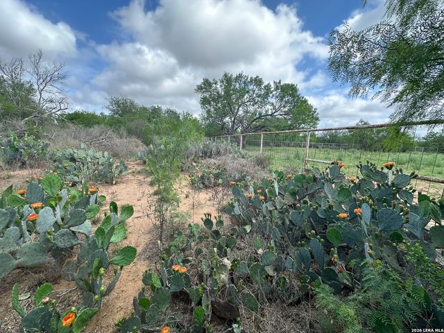 17603 Shepherd Rd, Atascosa, TX 78002