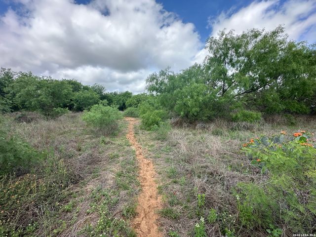 17603 Shepherd Rd, Atascosa, TX 78002
